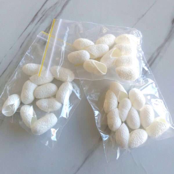 پیله ابریشم برش خورده(بسته 10 تایی)