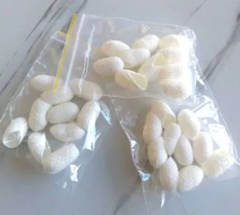 پیله ابریشم برش خورده(بسته 10 تایی)